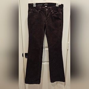 NWT LOFT Dark Brown Corduroy Modern Boot Low Rise Trousers